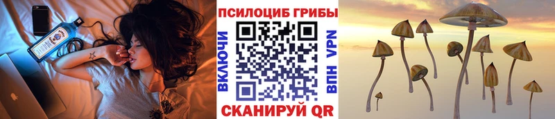 Псилоцибиновые грибы Psilocybe  Володарск 